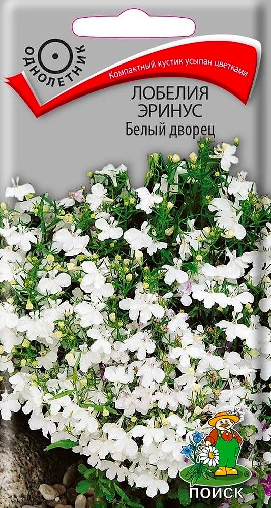 Семена Лобелия Эринус белый дворец 0,1 г