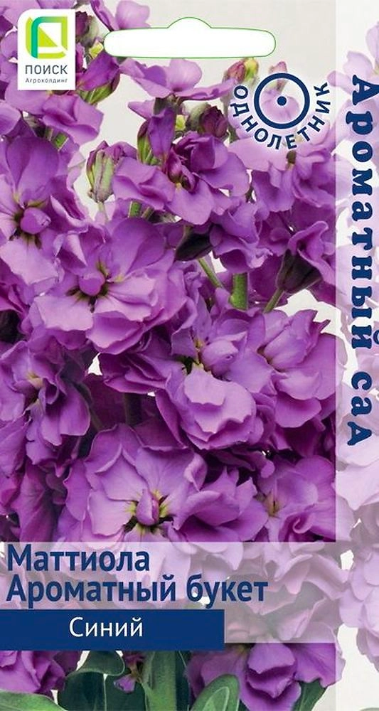 Семена Маттиола Ароматный букет синий 10 шт