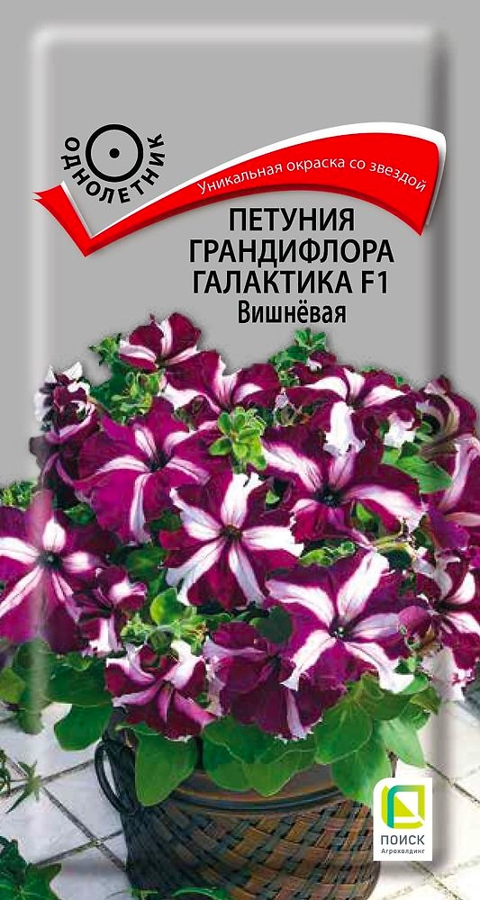 Семена Петунии Галактика вишневая 10 шт