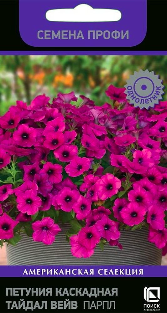 Семена Петунии Тайдел вейв парпл 5 шт