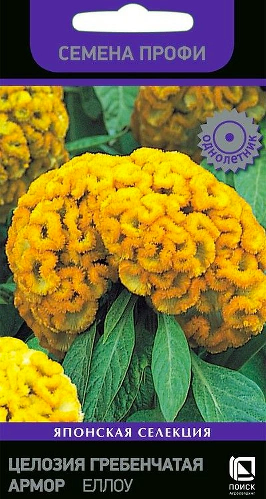 Семена Целозия гебенчатая Армор 15 шт