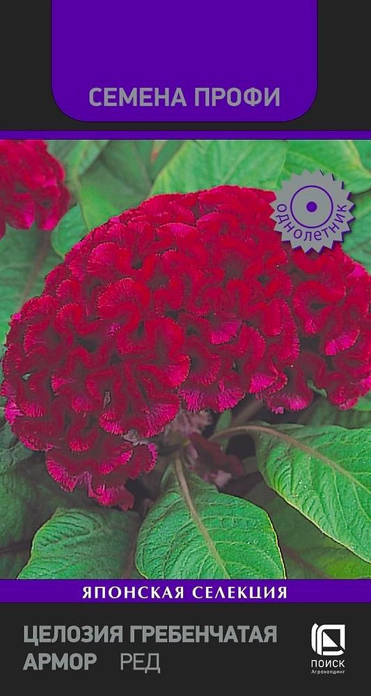 Семена Целозия гебенчатая Армор ред 15 шт
