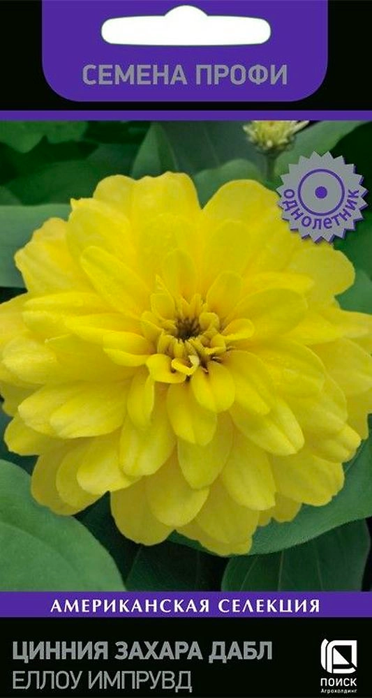 Семена Циния Еллоу импрувд 5 шт