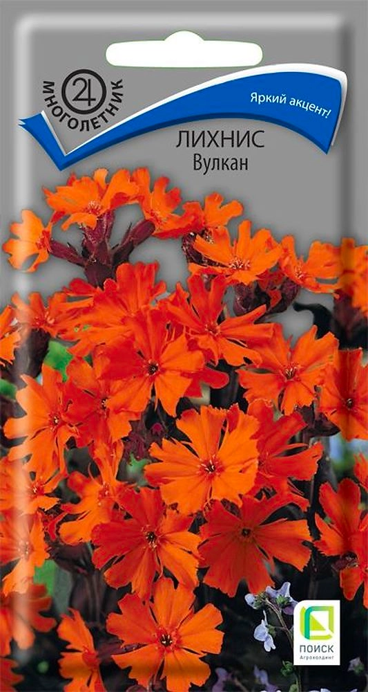 Семена Лихнис Вулкан 0,1 г