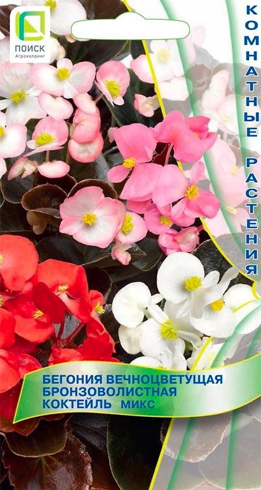 Семена Бегонии бронзоволистная коктейль микс 25 шт