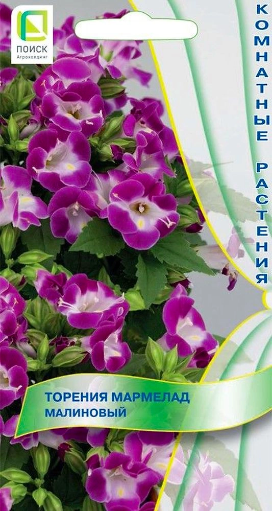 Семена Торения Мармелад малиновый 5 шт