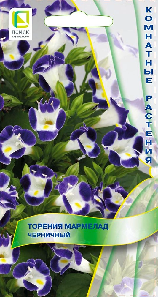 Семена Торения Мармелад черничный 5 шт