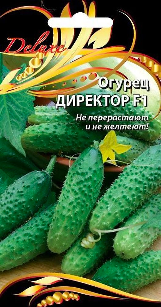 Семена Огурца Директор F1 7 шт