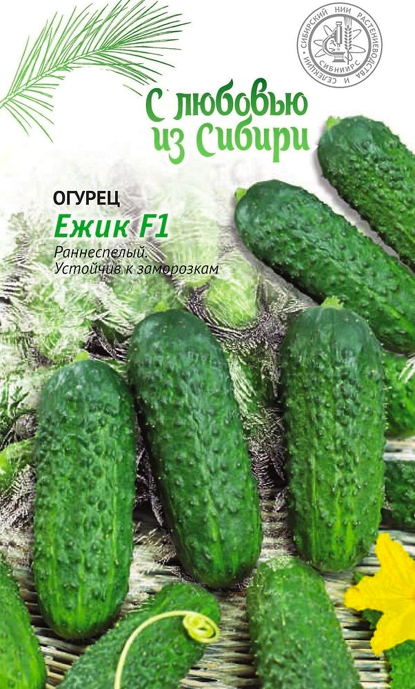 Семена Огурца Ежик F1 0,25 г