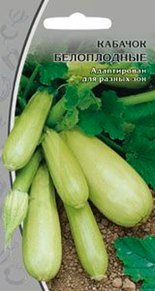 Семена Кабачка Белоплодные 1 г