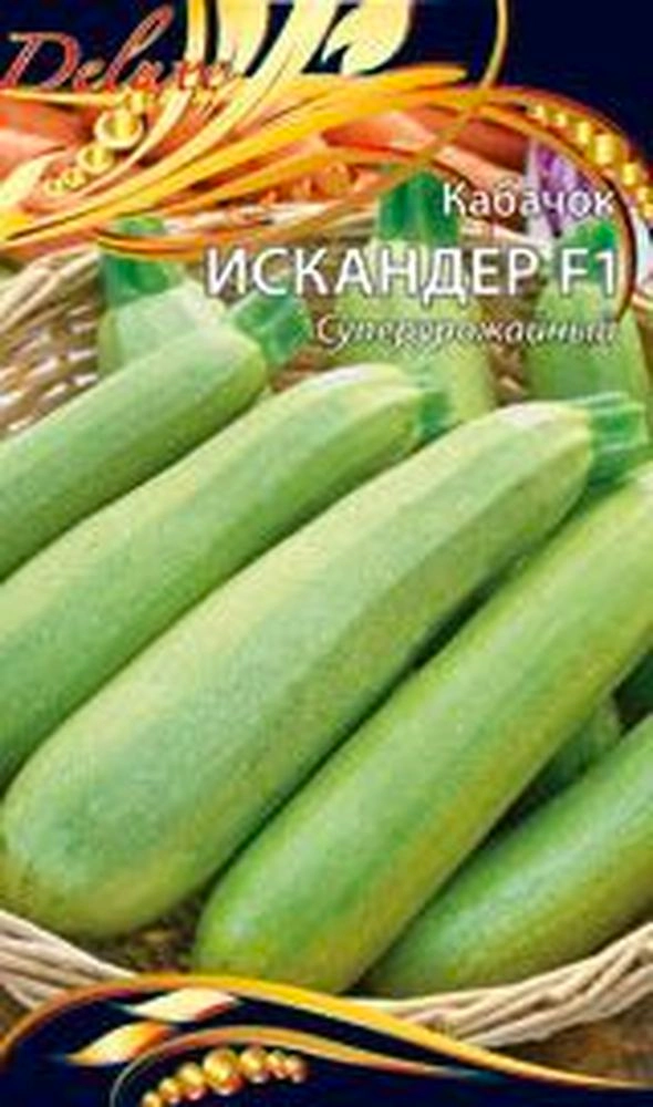 Семена Кабачка Искандер 5 шт