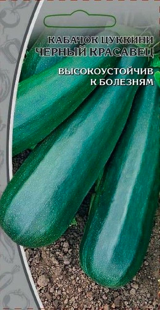 Семена Кабачка Черный красавец 1 г