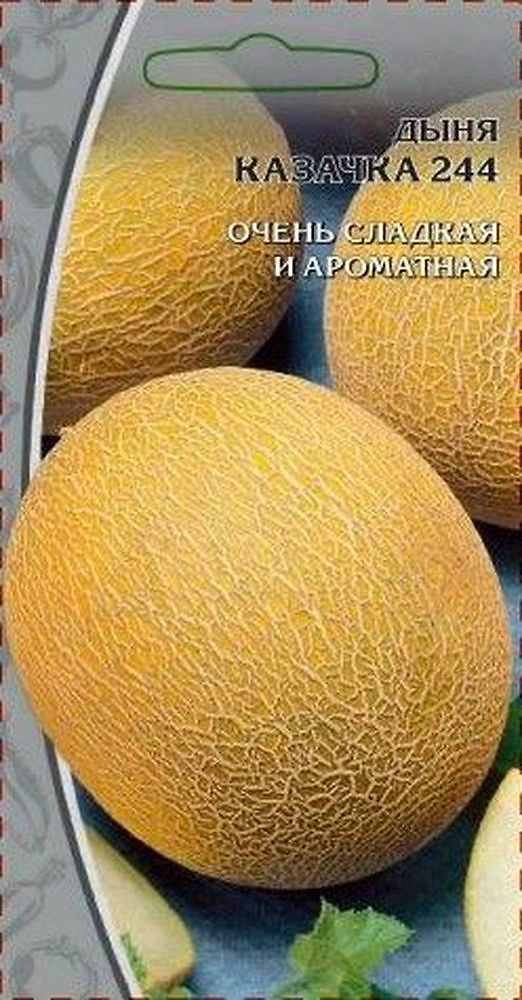 Семена Дыня Казачка 1 г