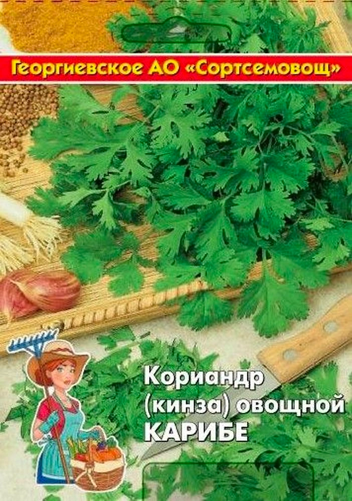 Семена кориандр карибе 10 г