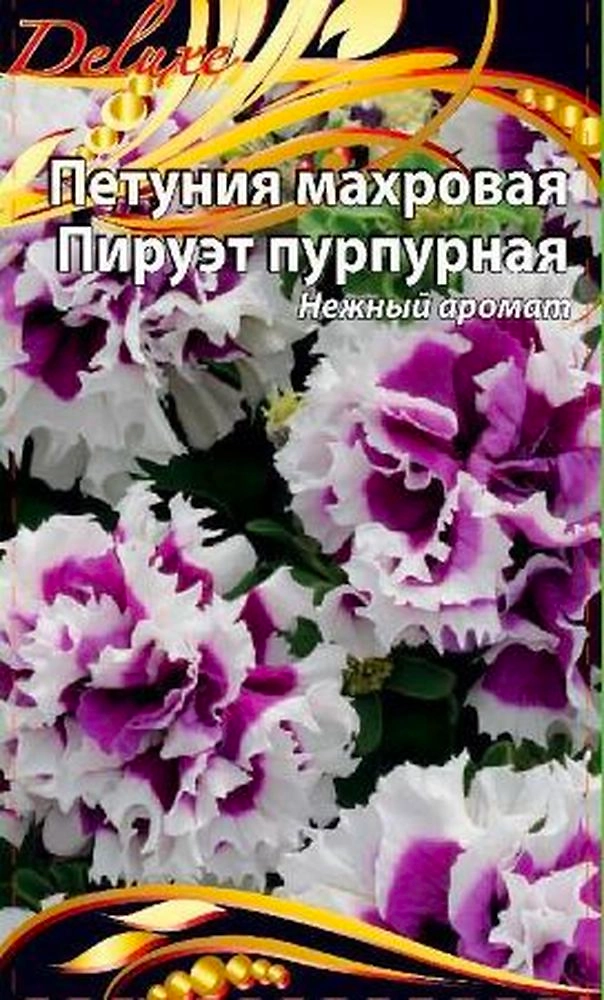Семена петуния пируэт пурпурная 10 шт