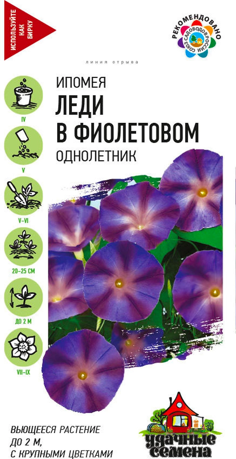 Семена Ипомея леди в фиолетовом 0,5 г