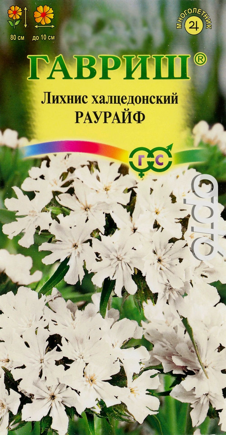 Семена Лихнис халцедонский Раурайф 0,1 г 