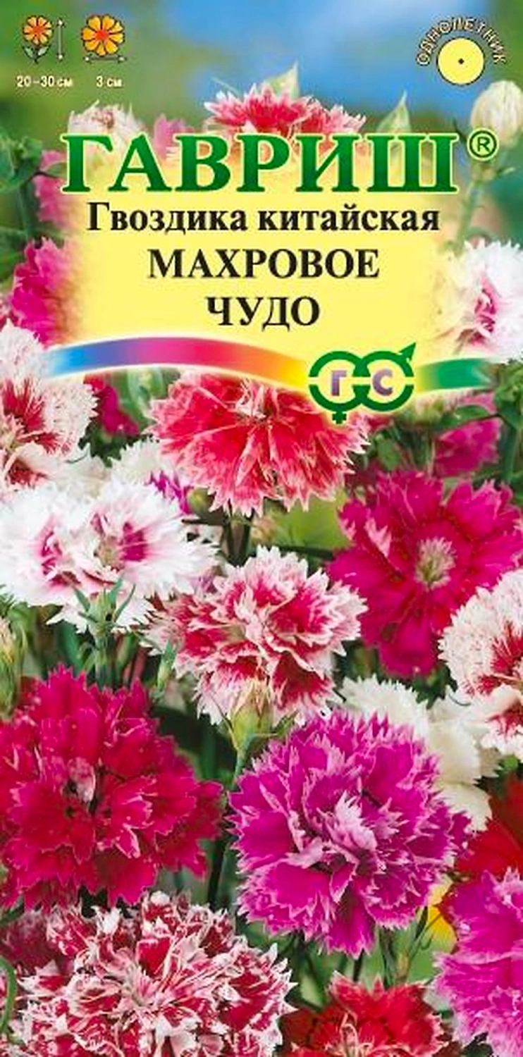 Семена Гвоздика китайская Махровое чудо смесь 0,1 г 