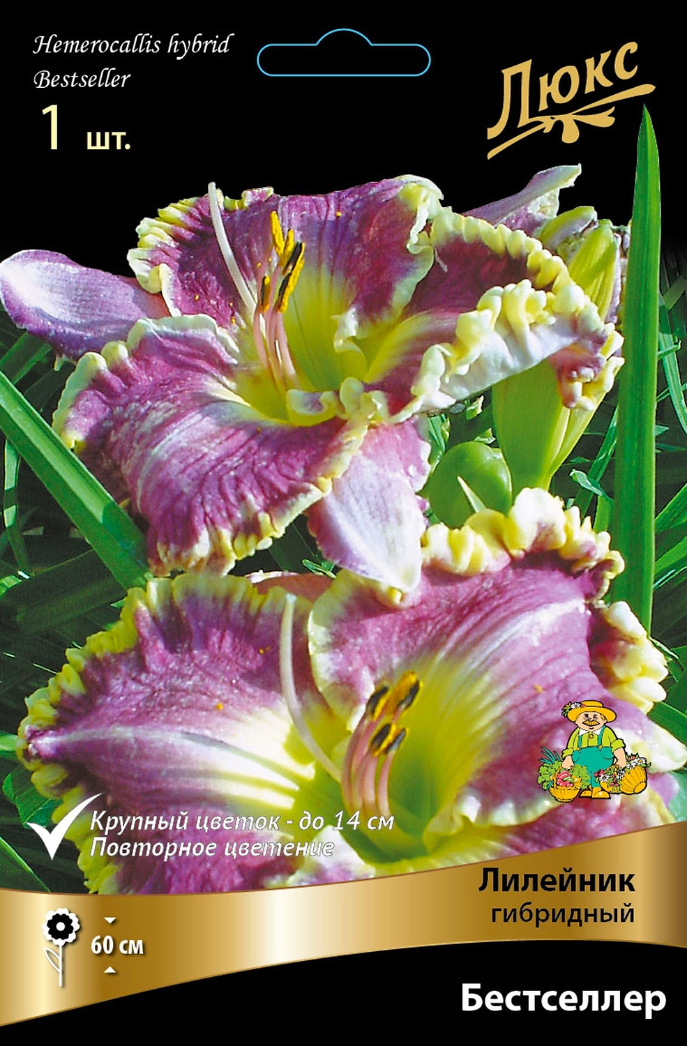 Лилейник ГИБРИДНЫЙ БЕСТСЕЛЛЕР 1 шт