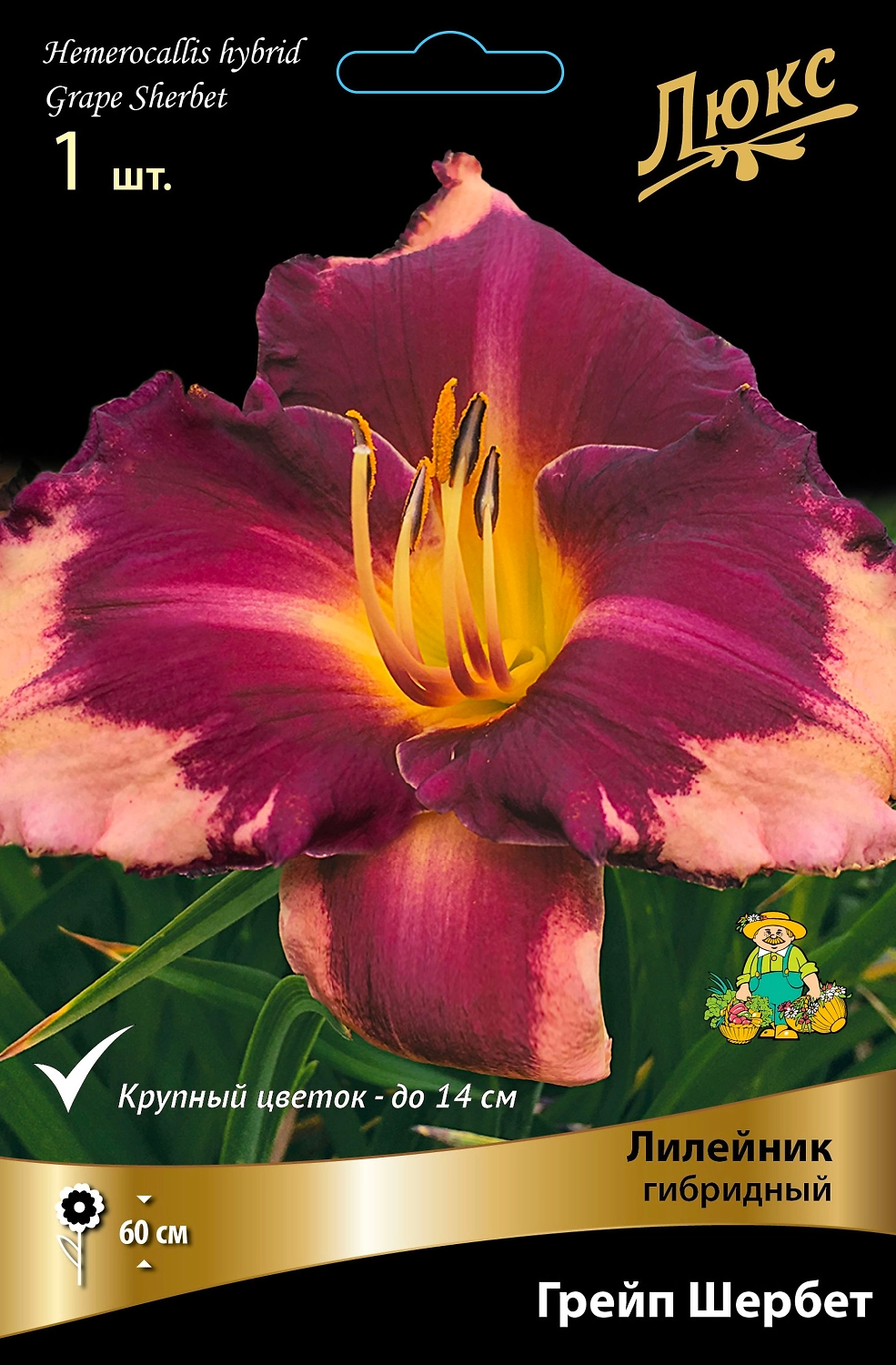 Лилейник ГИБРИДНЫЙ ГРЕЙП ШЕРБЕТ 1 шт