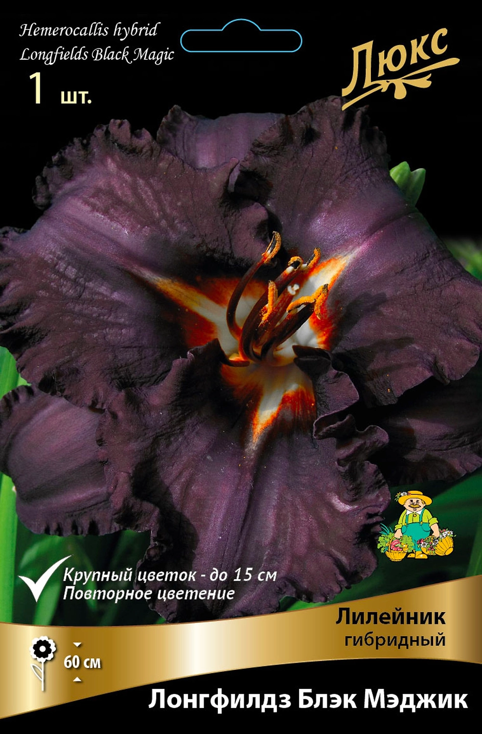 Лилейник ГИБРИДНЫЙ ЛОНГФИЛДЗ БЛЭК МЭДЖИК 1 шт