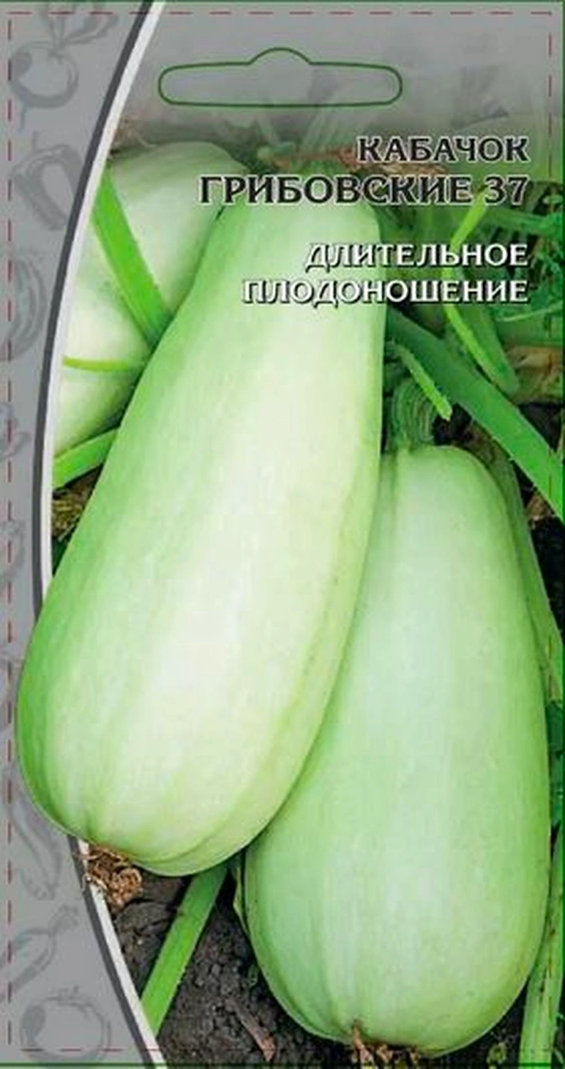 Кабачок Грибовские 37, 1г