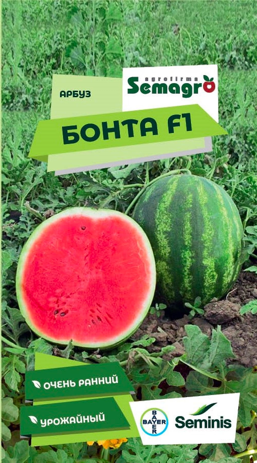 Семена арбуза SEMINIS БОНТА F1