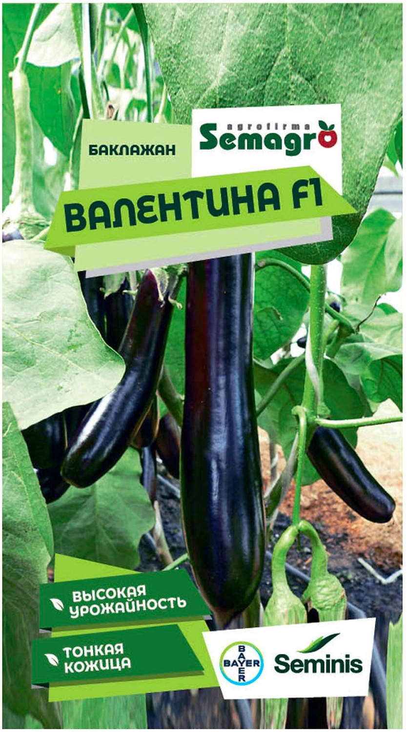 Семена баклажана SEMINIS ВАЛЕНТИНА F1