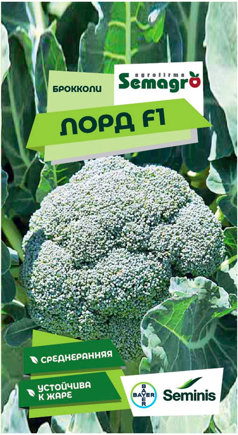 Семена брокколи SEMINIS ЛОРД F1