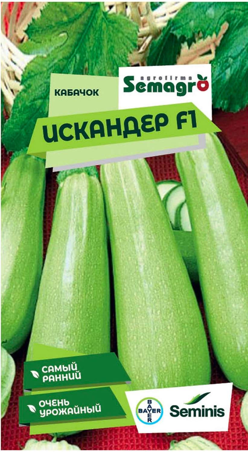 Семена кабачок SEMINIS ИСКАНДЕР F1