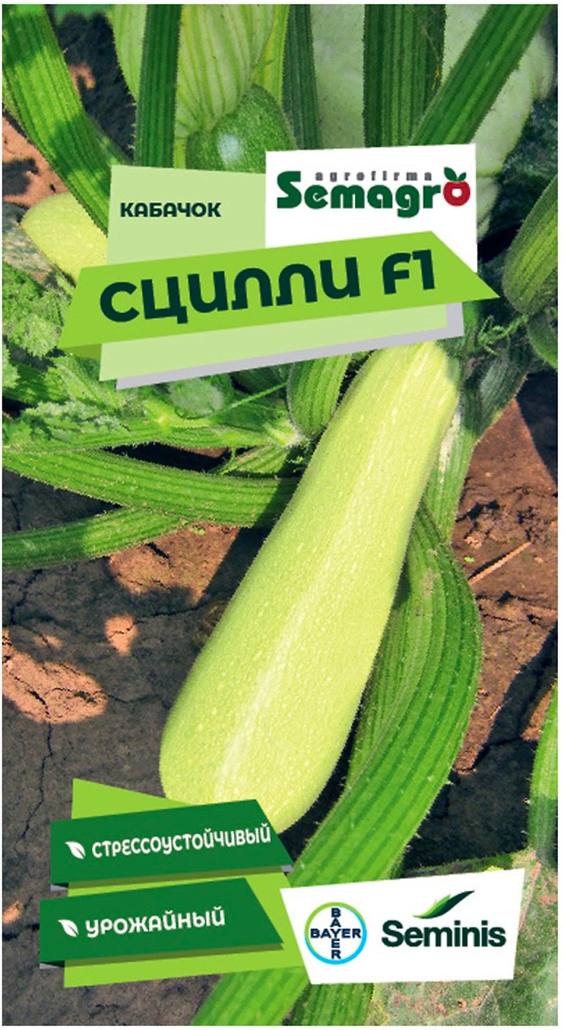 Семена кабачок SEMINIS СЦИЛЛИ F1