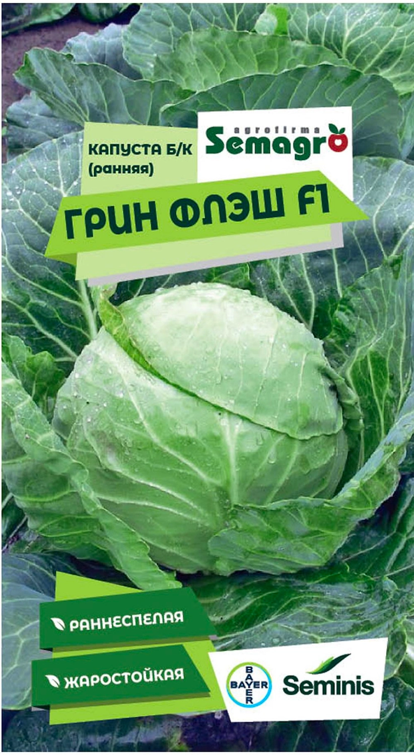 Семена капусты белокочанной SEMINIS ГРИН ФЛЭШ F1