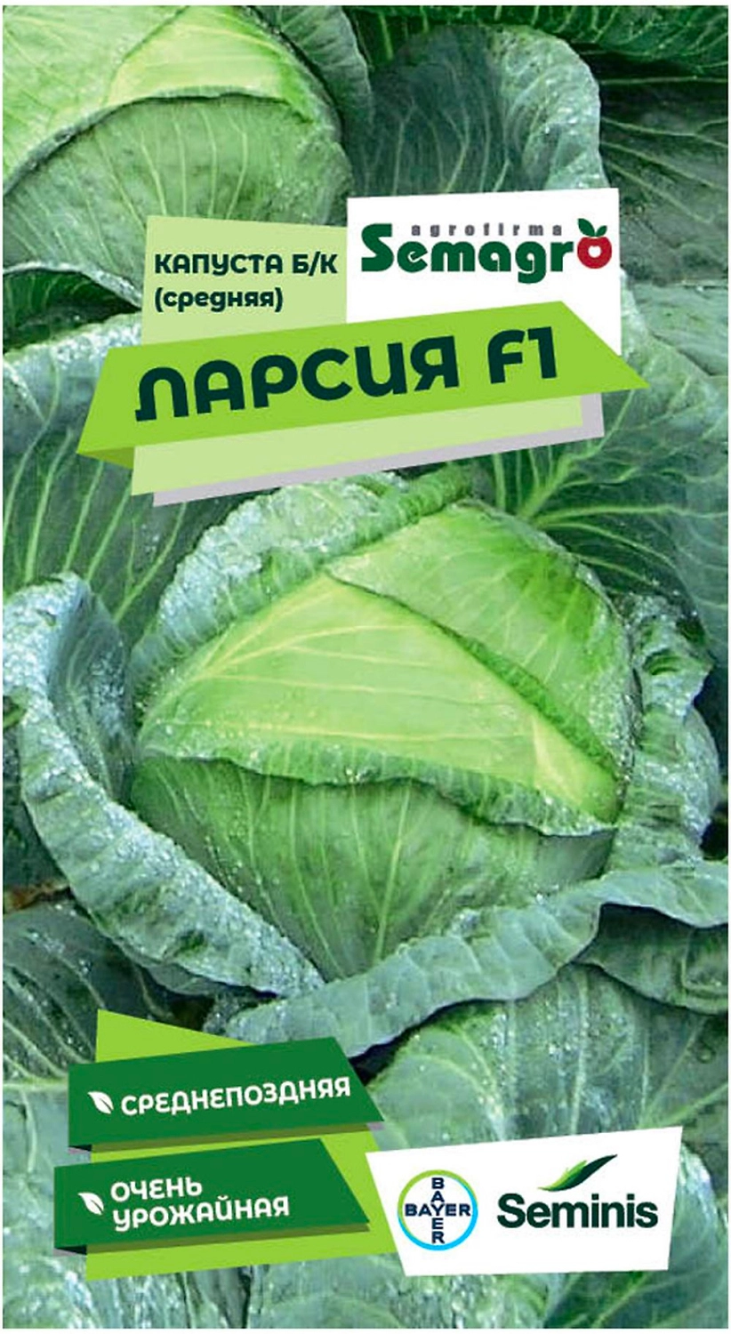 Семена капусты белокочанной SEMINIS ЛАРСИЯ F1