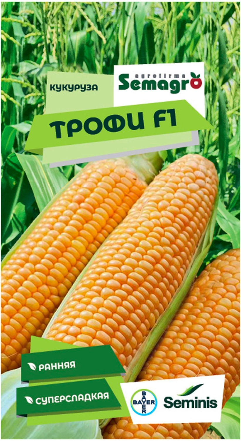 Семена кукурузы SEMINIS ТРОФИ F1