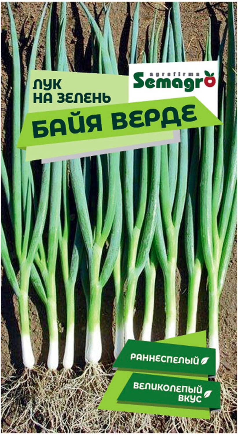 Семена лука на зелень SEMINIS БАЙЯ ВЕРДЕ