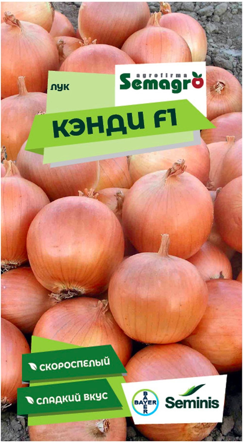 Семена лука репчатого SEMINIS КЭНДИ F1