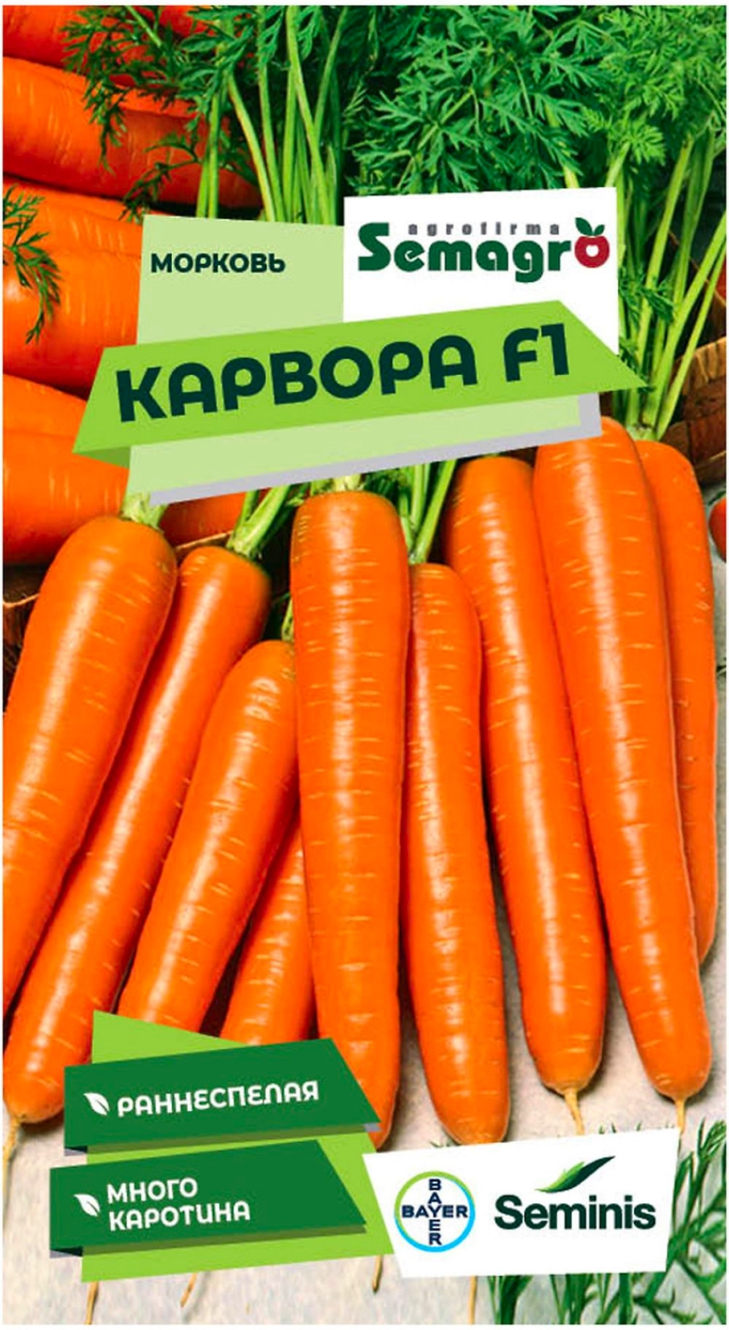 Семена моркови SEMINIS КАРВОРА F1