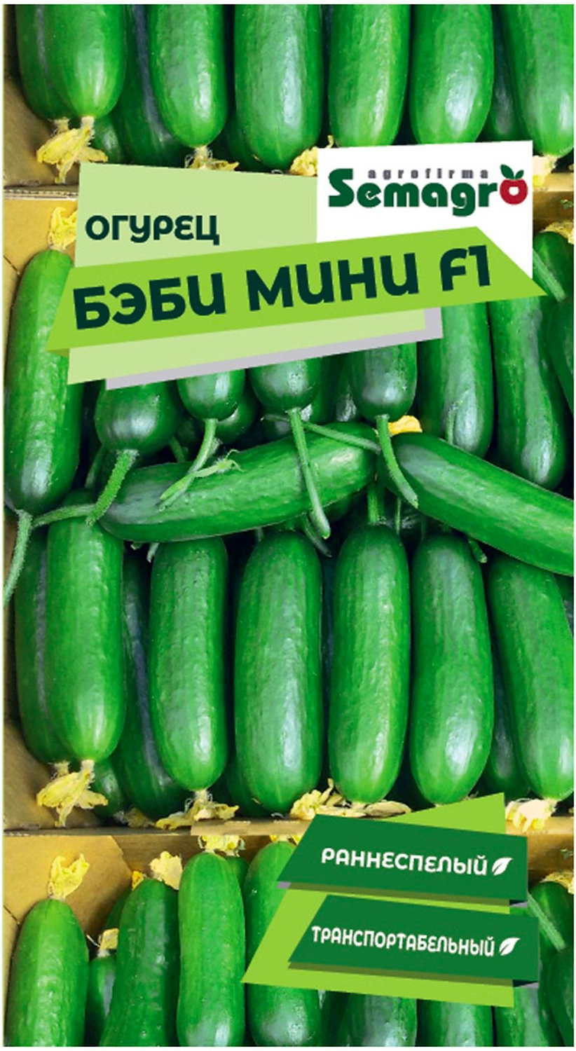 Семена огурца SEMINIS БЭБИ МИНИ F1