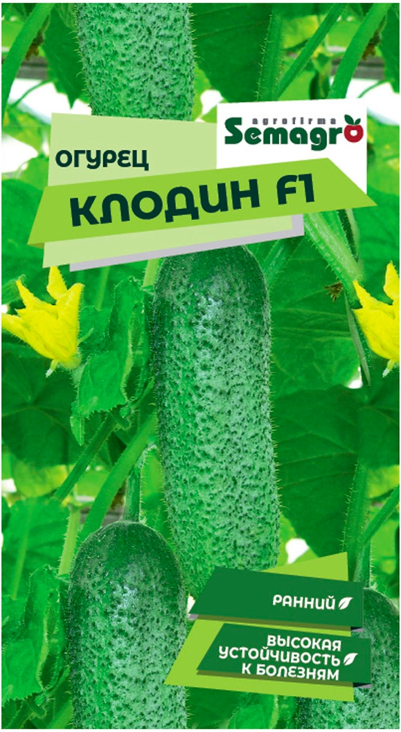 Семена огурца SEMINIS КЛОДИН F1