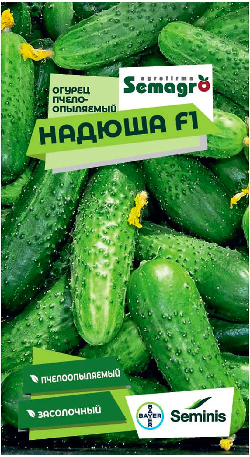 Семена огурца SEMINIS НАДЮША F1
