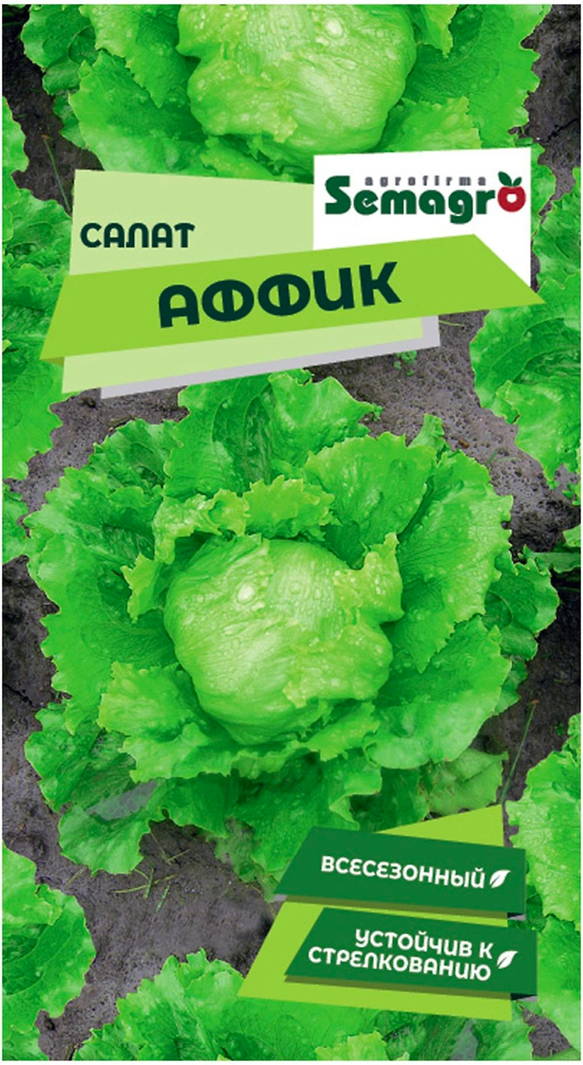 Семена салата SEMINIS АФФИК