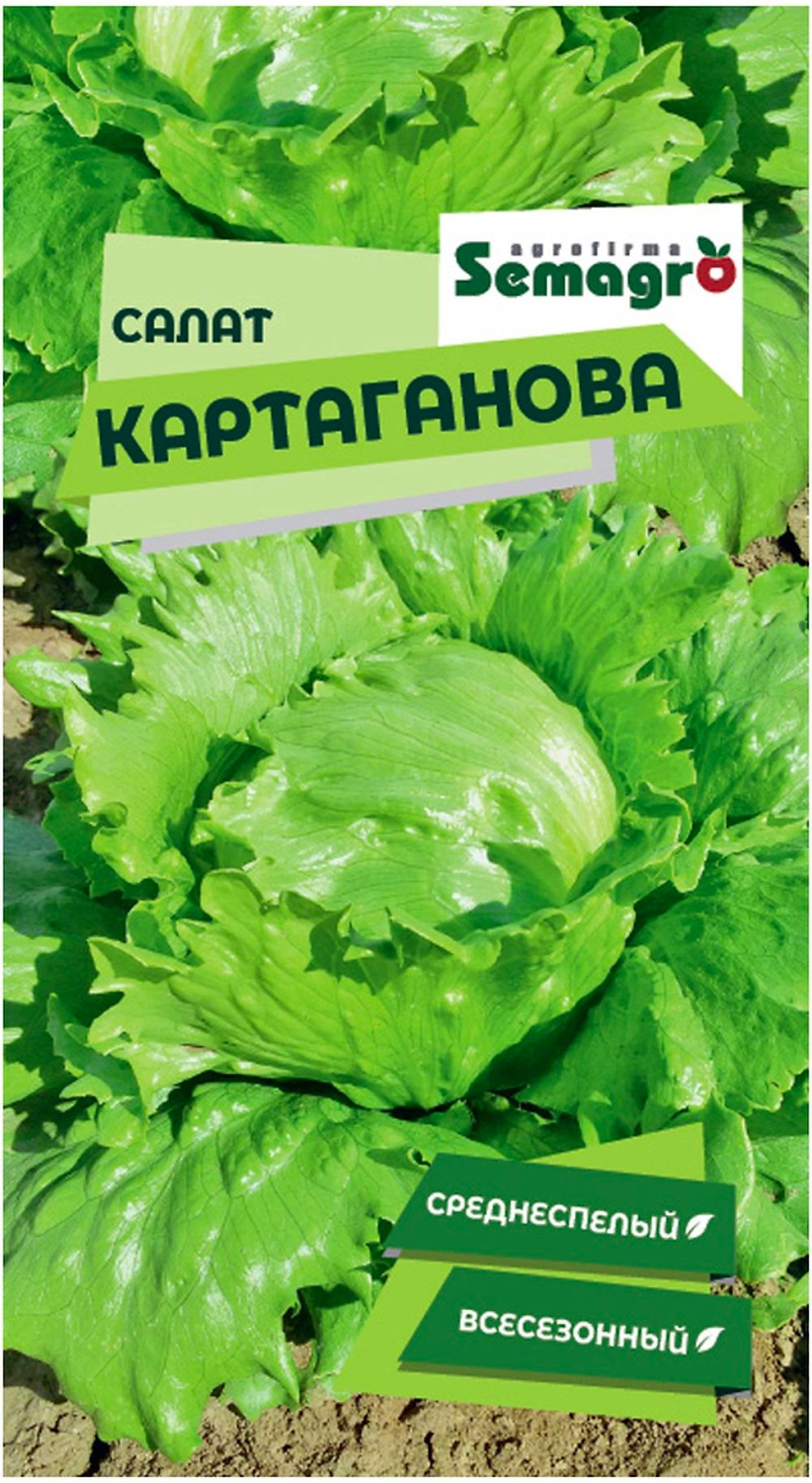 Семена салата SEMINIS КАРТАГАНОВ
