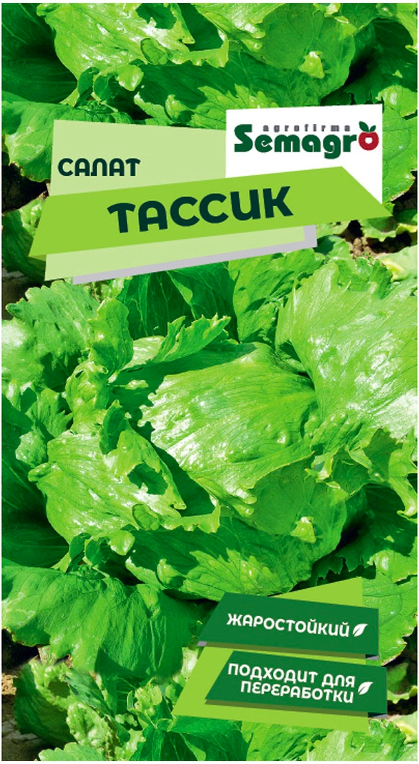 Семена салата SEMINIS ТАССИК