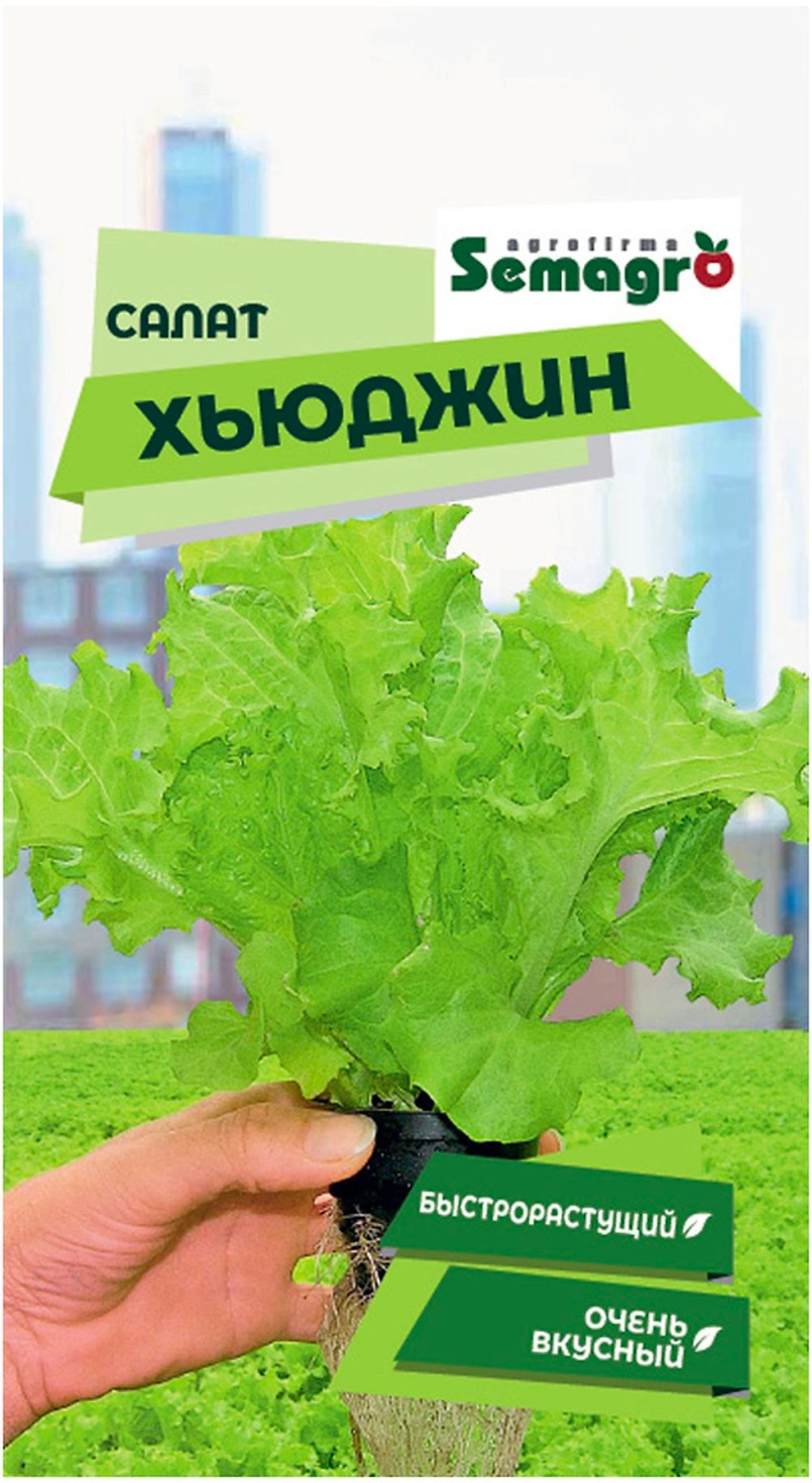 Семена салата SEMINIS ХЬЮДЖИН