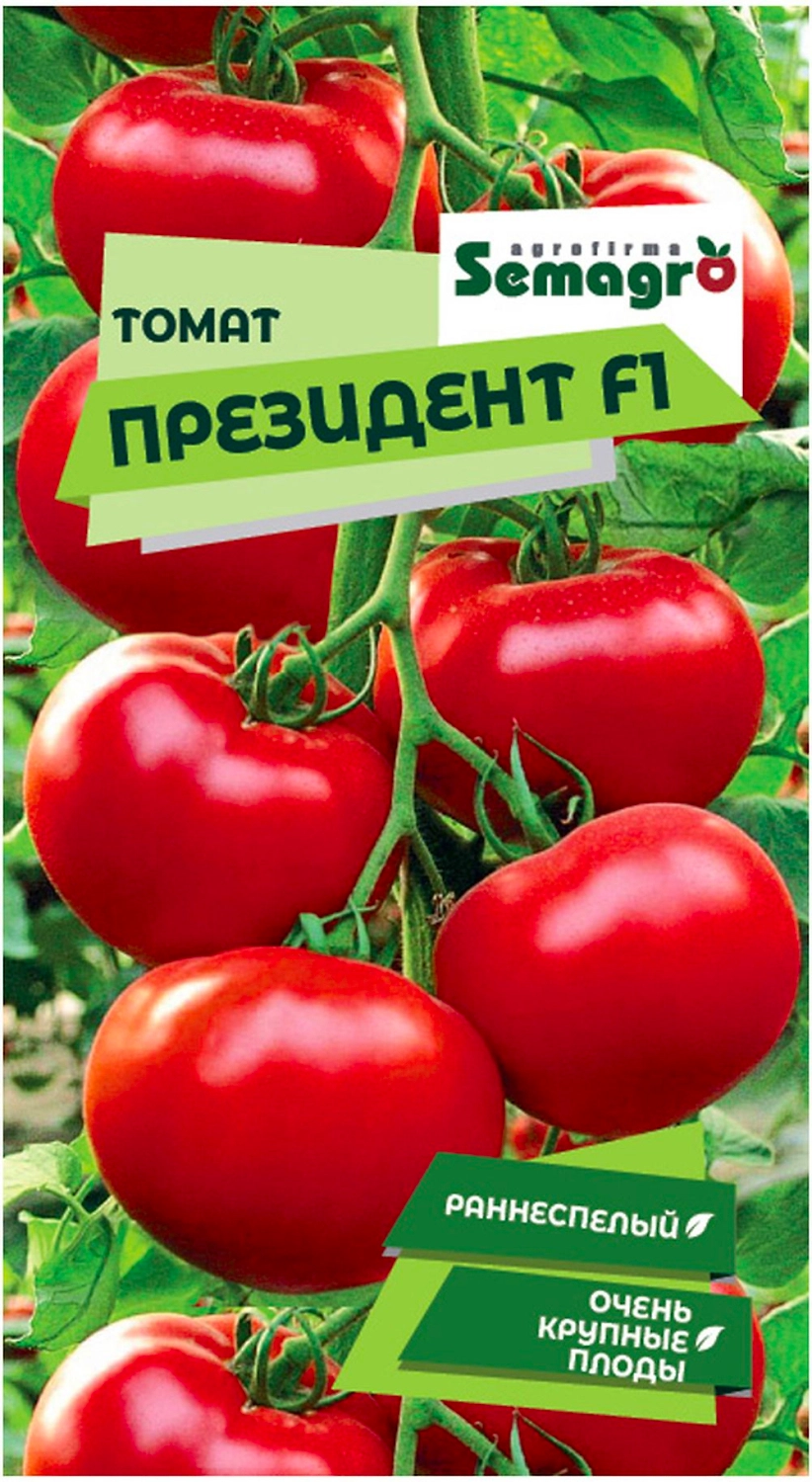 Семена томата SEMINIS ПРЕЗИДЕНТ F1