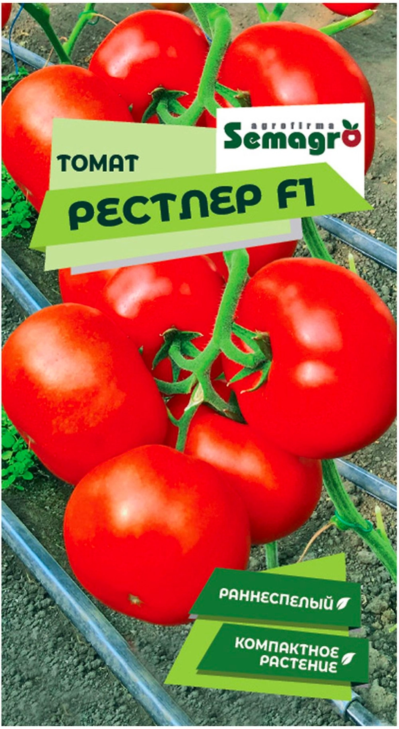Семена томата SEMINIS РЕСТЛЕР F1