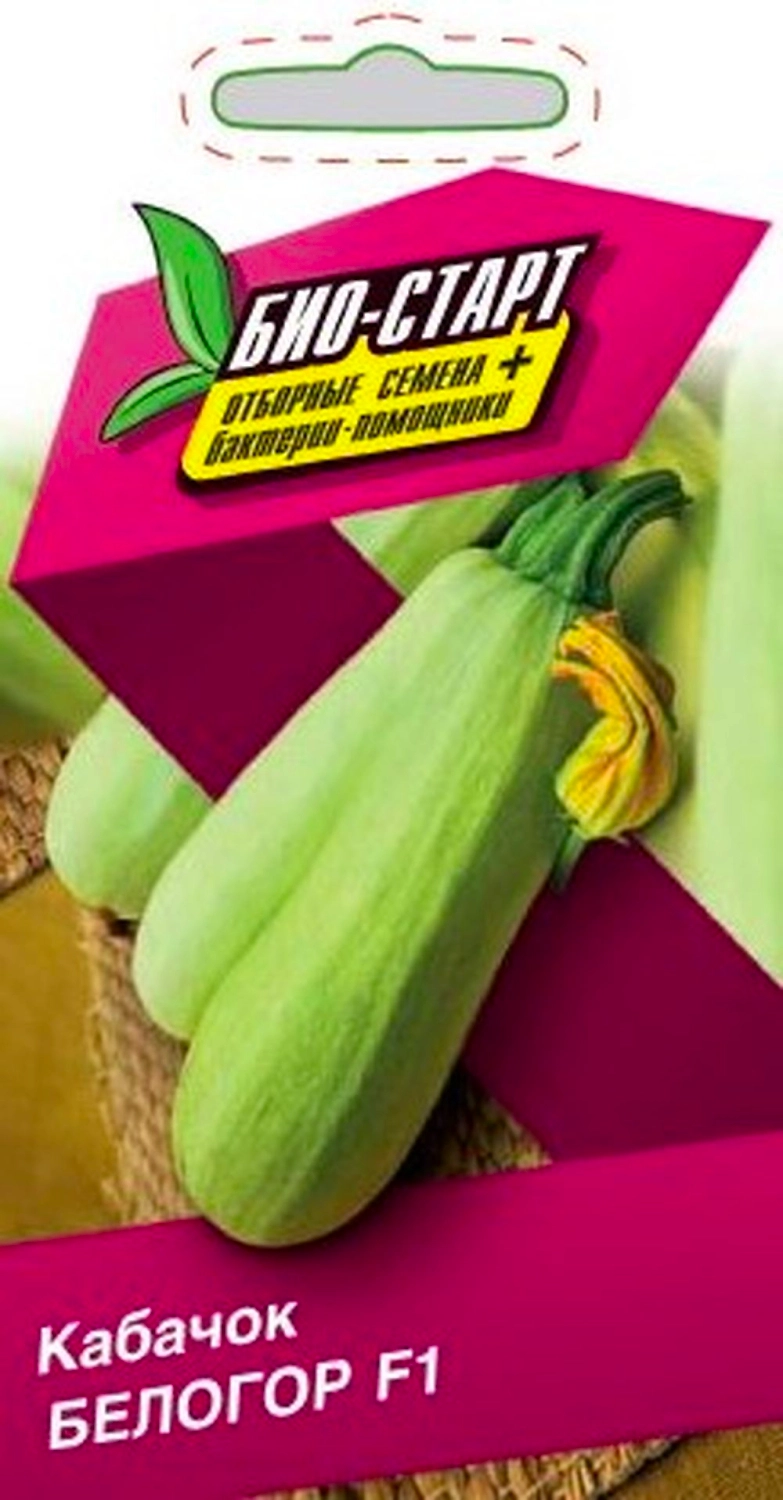 Семена КАБАЧОК БЕЛОГОР F1 БИО 1 ГР