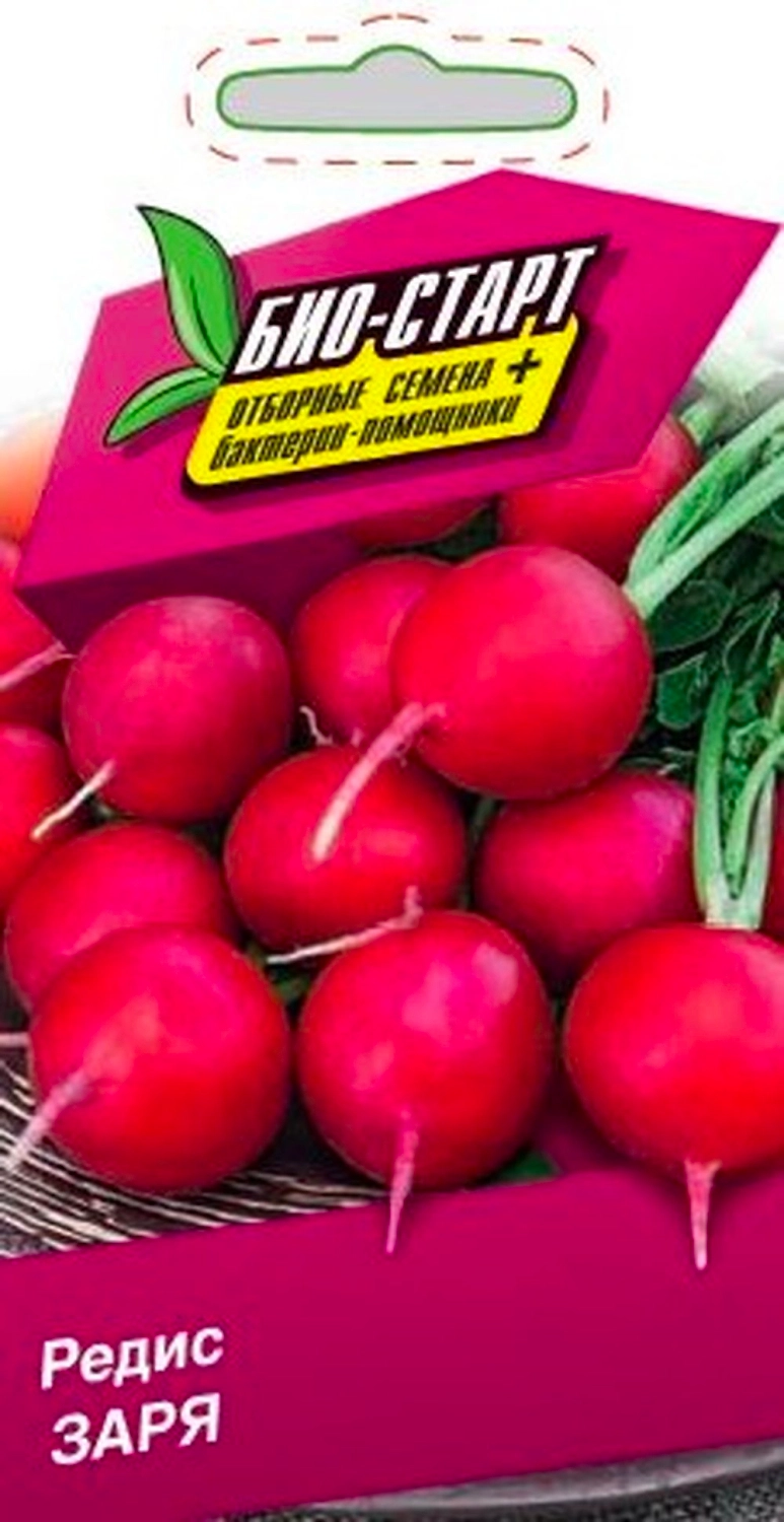 Семена РЕДИС ЗАРЯ БИО 3 ГР