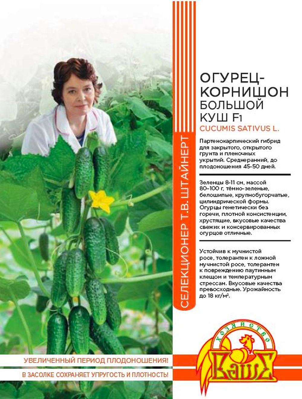 Семена ОГУРЕЦ БОЛЬШОЙ КУШ 10 ШТ