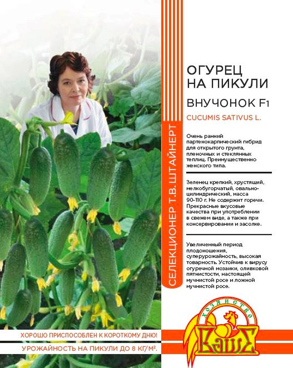 Семена ОГУРЕЦ НА ПИКУЛИ ВНУЧОК F1 10 ШТ ШТАЙНЕРТ